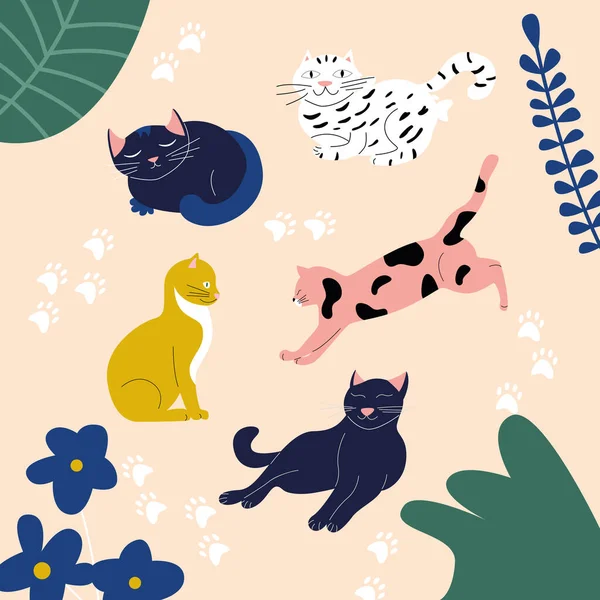 Farklı Cins Renklerdeki Kedilerle Dolu Bir Taşıyıcı Kedili Pençeli Çiçekli — Stok Vektör
