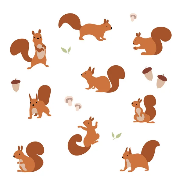 Ilustración Vectorial Conjunto Ardillas Alegres Que Comen Nueces Caminan — Vector de stock