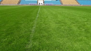 doğal yeşil çim futbol sahası, portre resim