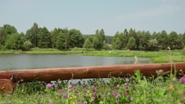 Empty bench by a pond, surrounded by forests and fields on a Sunny day — Stock Video