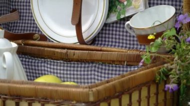 Irmak kenarına yakın 6 kadar Retro piknik