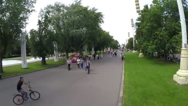 Vista aérea das pessoas que caminham no parque . — Vídeo de Stock