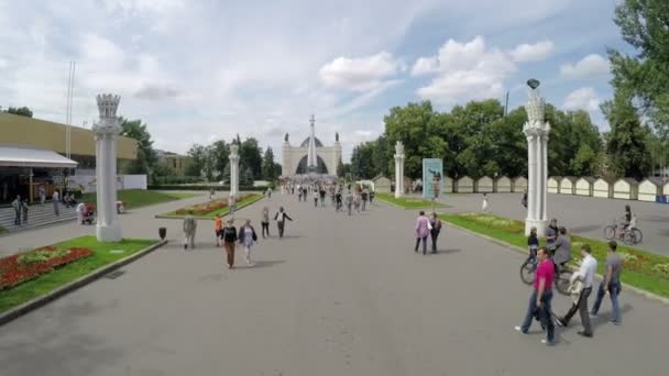 Vista aérea de los caminantes en el parque . — Vídeos de Stock