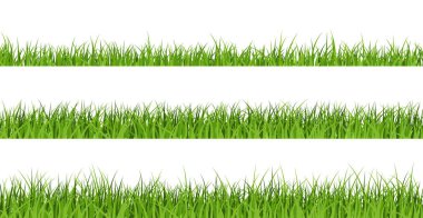 İzole edilmiş şeffaf arkaplanda 3 yeşil çimen deseni var. Bahçe, bahar, yaz vektör illüstrasyonları için bahçe afişleri