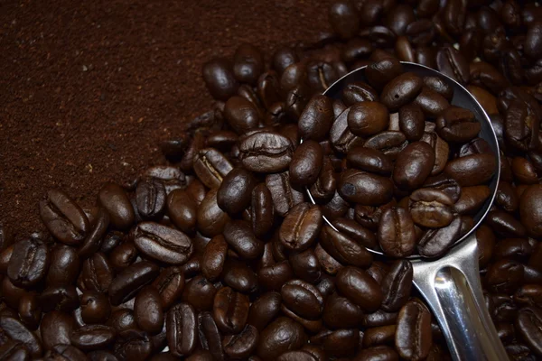 Coffee,ground and beans. — Stock Photo, Image