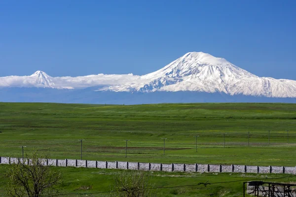 Grüne Wiese vor dem wolkenverhangenen Berg Araat in Armenien — Stockfoto