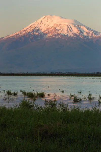 Montagne enneigée d'Ararat avec lac bleu en face — Photo