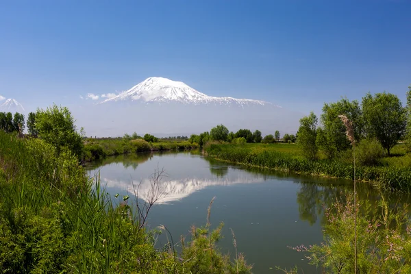 Pohled na krajinu Mount Ararat odráží v řece — Stock fotografie