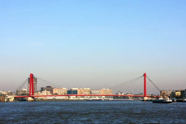 Rotterdam ve Willems Köprüsü