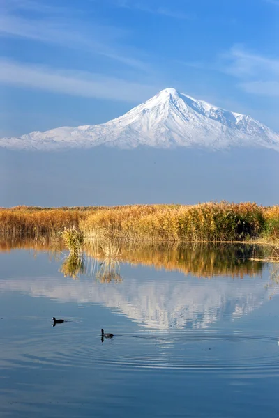 Araat-Spiegelung im See — Stockfoto