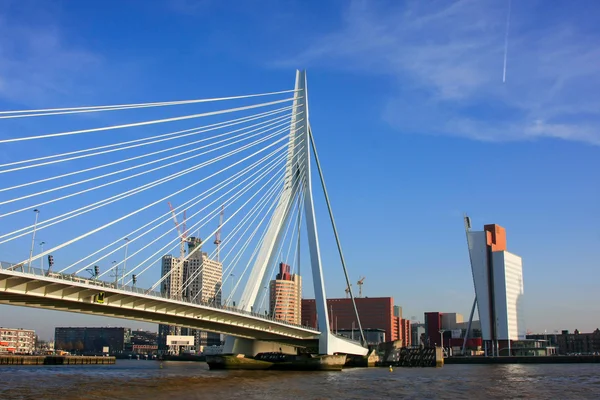 Erasmus Bridge Rotterdam Meuse Nehri üzerinde