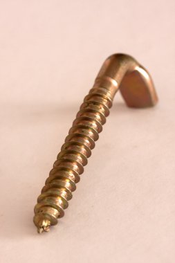 Close up screw