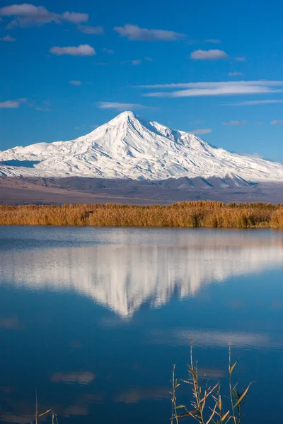 Ararat dağı gölde yansıyan — Stok fotoğraf