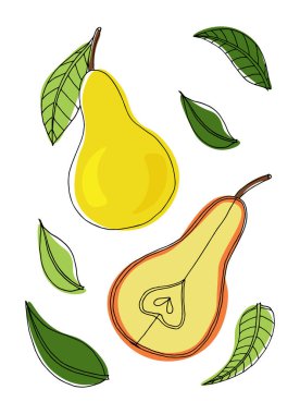 Karalama tarzında botanik illüstrasyon: beyaz arka planda yaprakları olan sulu armutlar. Yaz havası. Bir vektör resmi.