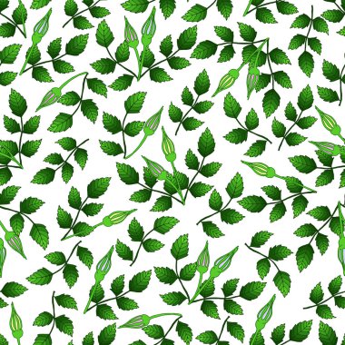 Botanik illüstrasyon: yapraklı yeşil dallar, beyaz arka planda tomurcuklar. Yapraklar ve çiçeklerle kusursuz desen. Mutfak tekstil, arka plan ve ambalaj ürünleri için..