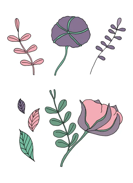 植物イラストのセット 茎と葉 ベクトル画像 — ストックベクタ