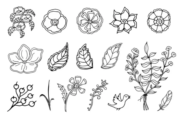 식물학적 요소는 벡터의 집합이다 낙서는 꽃이야 손으로 삽화들 — 스톡 벡터
