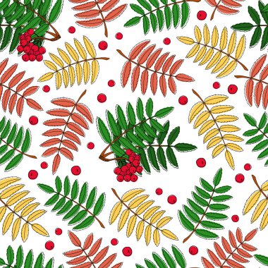 Sonbahar dikişsiz desen: rovan yaprakları ve böğürtlenler. Renkli yapraklar. Bir vektör resmi.