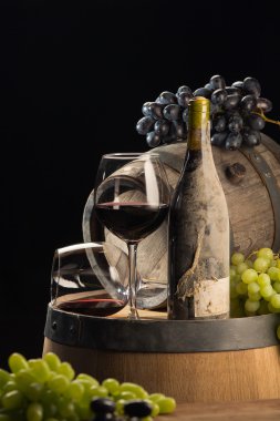 Wine cellar. Elite wine.