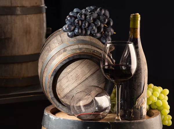 Wine cellar. Elite wine.