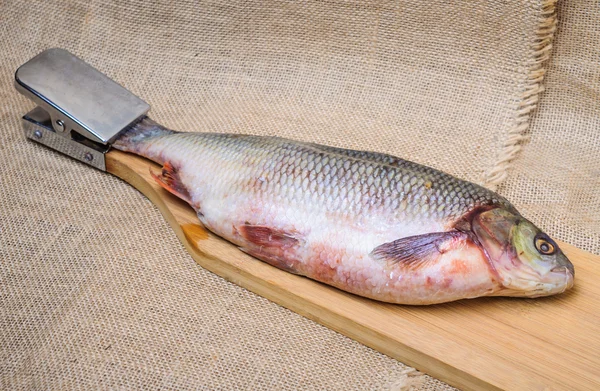 Peixe cru numa tábua de corte — Fotografia de Stock