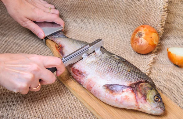 Orfe ölçekten peeling eller