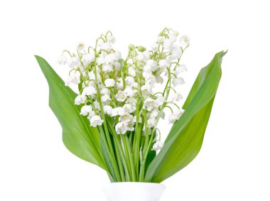 Lily vadi buket beyaz aranjman 
