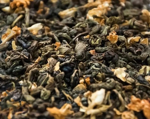 Сухий чай колекції — стокове фото