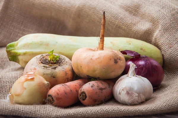 Verduras del jardín —  Fotos de Stock