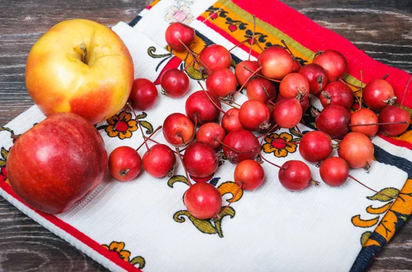 Pequeñas manzanas del Paraíso y las manzanas grandes habituales — Foto de Stock