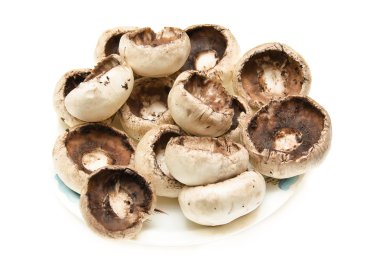 champignon mantarları