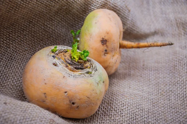 Turnips — Stock Photo, Image