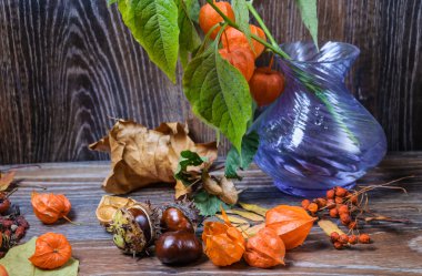 Physalis ile natürmort