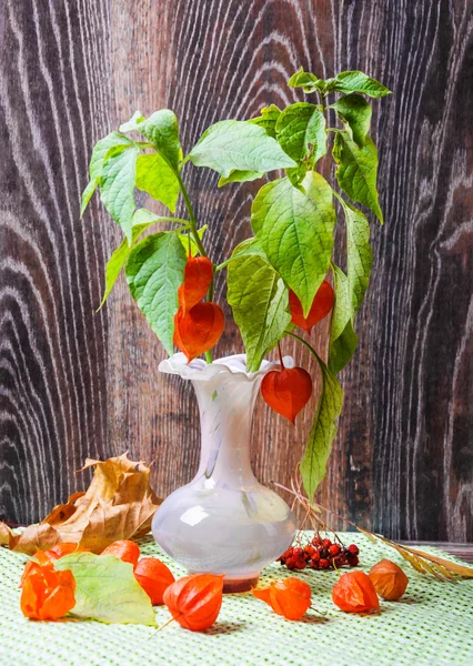 Bodegón con physalis — Foto de Stock