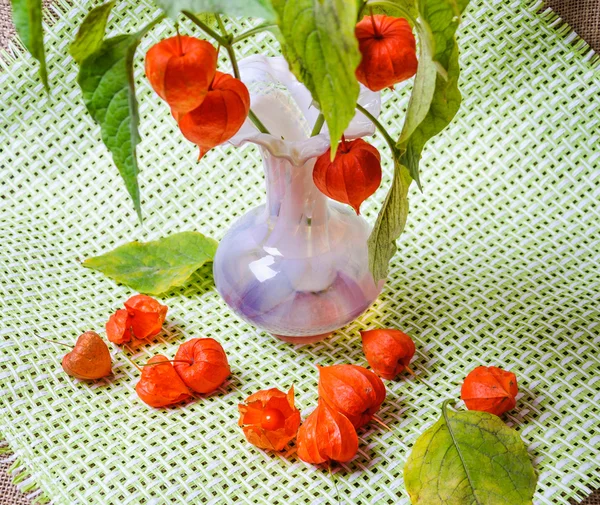 Still life with physalis — Stock Photo, Image