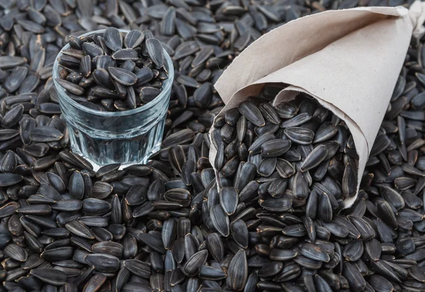 Ayçiçeği tohumu, kağıt torba ve yönlü cam
