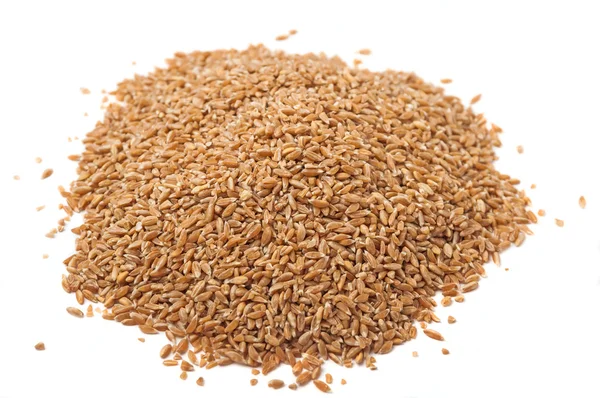 白い背景にスペルト小麦の束 — ストック写真