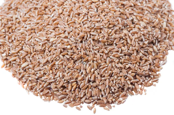 A bunch of spelt — Stock Photo, Image