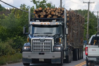 Kanada, 25 Ağustos 2025: Kereste kütükleri taşıyan büyük siyah tomruk kamyonu köy yolunda ilerliyor