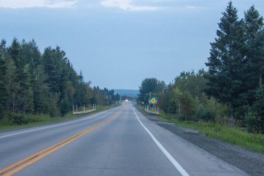 Kanada, 10 Ağustos 2025: Bulutlu gökyüzünün altında yeşil orman boyunca uzanan uzun ve boş otoyol