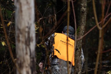 Kanada, 08 Ekim 2025: Kamuflaj ceketli ve turuncu yelekli avcı sık sonbahar ormanlarına girdi