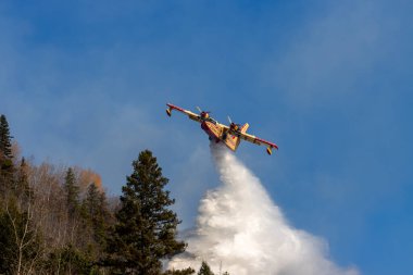 Kanada, 17 Ekim 2025: İtfaiyeyle mücadele uçağı orman üzerinde su bırakıyor ve şiddetli orman yangınlarıyla mücadele ediyor