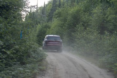 Kanada, 02 Ağustos 2025: Tozlu orman yolu boyunca yaz öğleden sonrası yolculuğu boyunca kırmızı SUv