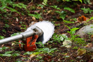 Kanada, 26 Eylül 2025: Yeşil bitkilerin arasında orman zemininde bulunan döner testere bıçağı