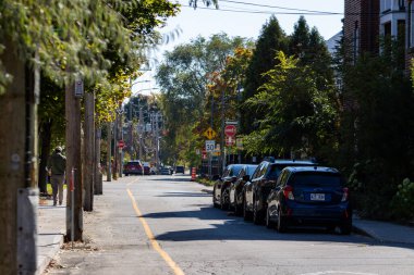 Kanada, 11 Ekim 2025: Sessiz yerleşim yerleri arabalar, ağaçlar ve güneş ışığı gölgeleriyle dolu.