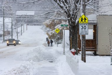 Kanada, 11 Kasım 2025: Arabalar, yayalar, ağaçlar ve okul tabelalarıyla karlı mahalle caddesi