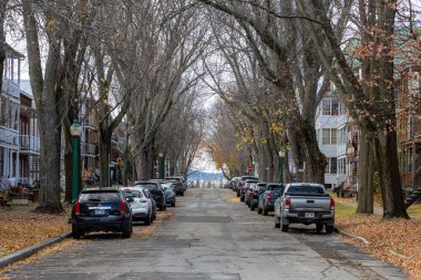 Kanada, 08 Kasım 2025: Autumn City caddesi park halindeki arabalar ve çıplak ağaçlarla dolu