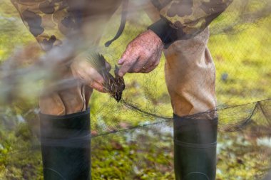 Kanada, 14 Ekim 2025: Eller dikkatlice serbest bırakılan kuş bugün açık havada tuzağa düşürüldü