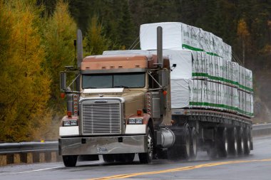 Kanada, 20 Ekim 2025: Sonbahar sezonu boyunca ıslak orman yolunda kereste taşıyan ağır kamyon