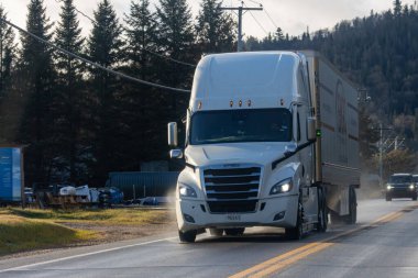 Kanada, 08 Kasım 2025: Islak kırsal yolda daima yeşil ağaçlarla giden beyaz kamyonet